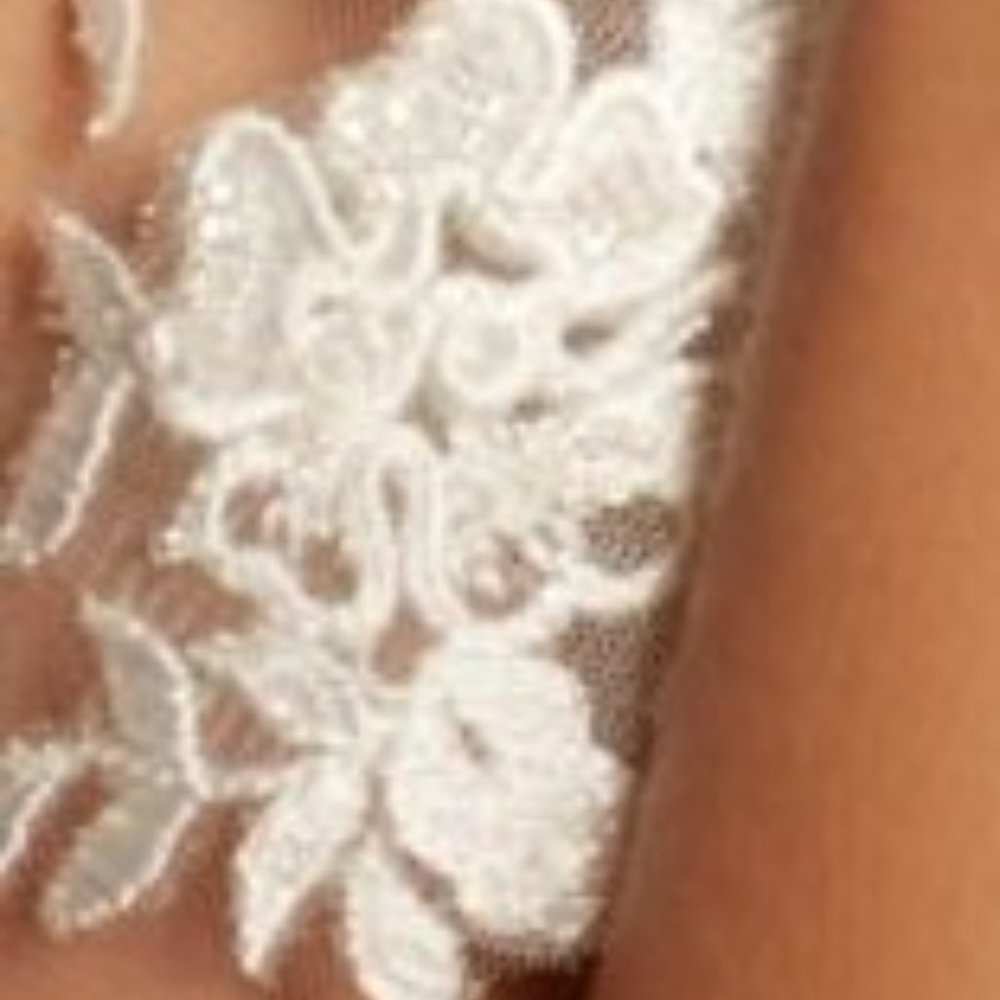 Ivory Embroidered Beaded Floral Scroll Cathedral Veil NWT - Picture 3 of 9